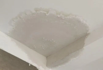 防水问题解决专家美巢坊水固性能出色!(图1) 防水问题解决专家美巢坊水固性能出色!(图1)