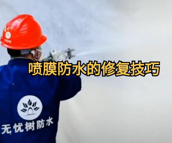 丙烯酸盐喷膜防水的维护和修复技巧(图2) 丙烯酸盐喷膜防水的维护和修复技巧(图2)
