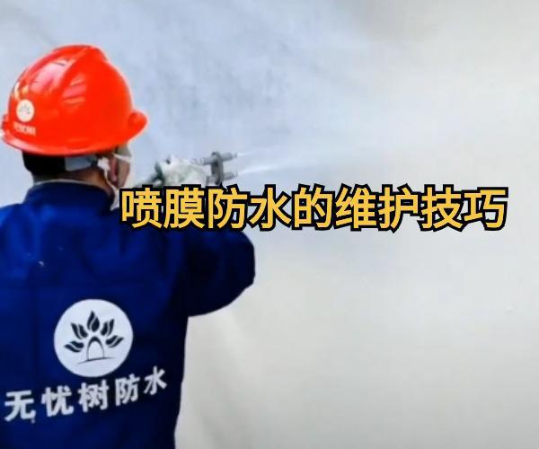 丙烯酸盐喷膜防水的维护和修复技巧(图1) 丙烯酸盐喷膜防水的维护和修复技巧(图1)