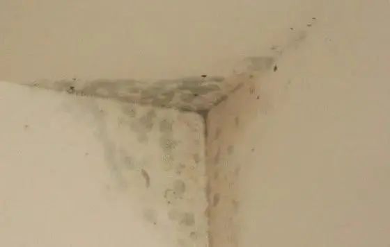 防潮or防水?二次维修、防水修缮或将成为材料的主要市场!(图3) 防潮or防水?二次维修、防水修缮或将成为材料的主要市场!(图3)
