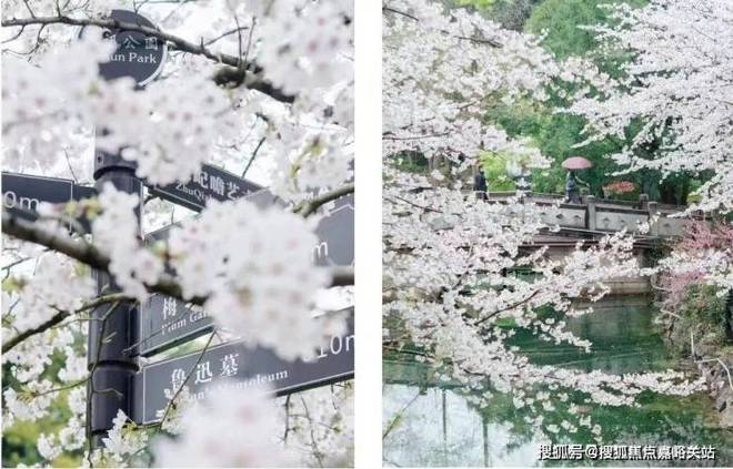 中建·虹悦里官方网站-中建虹悦里(上海虹口)-最新价格-户型配套(图14) 中建·虹悦里官方网站-中建虹悦里(上海虹口)-最新价格-户型配套(图14)