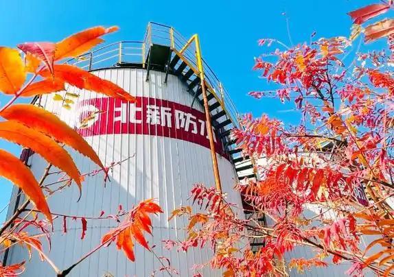 北新防水：以质量为基铸就防水行业新标杆(图1)